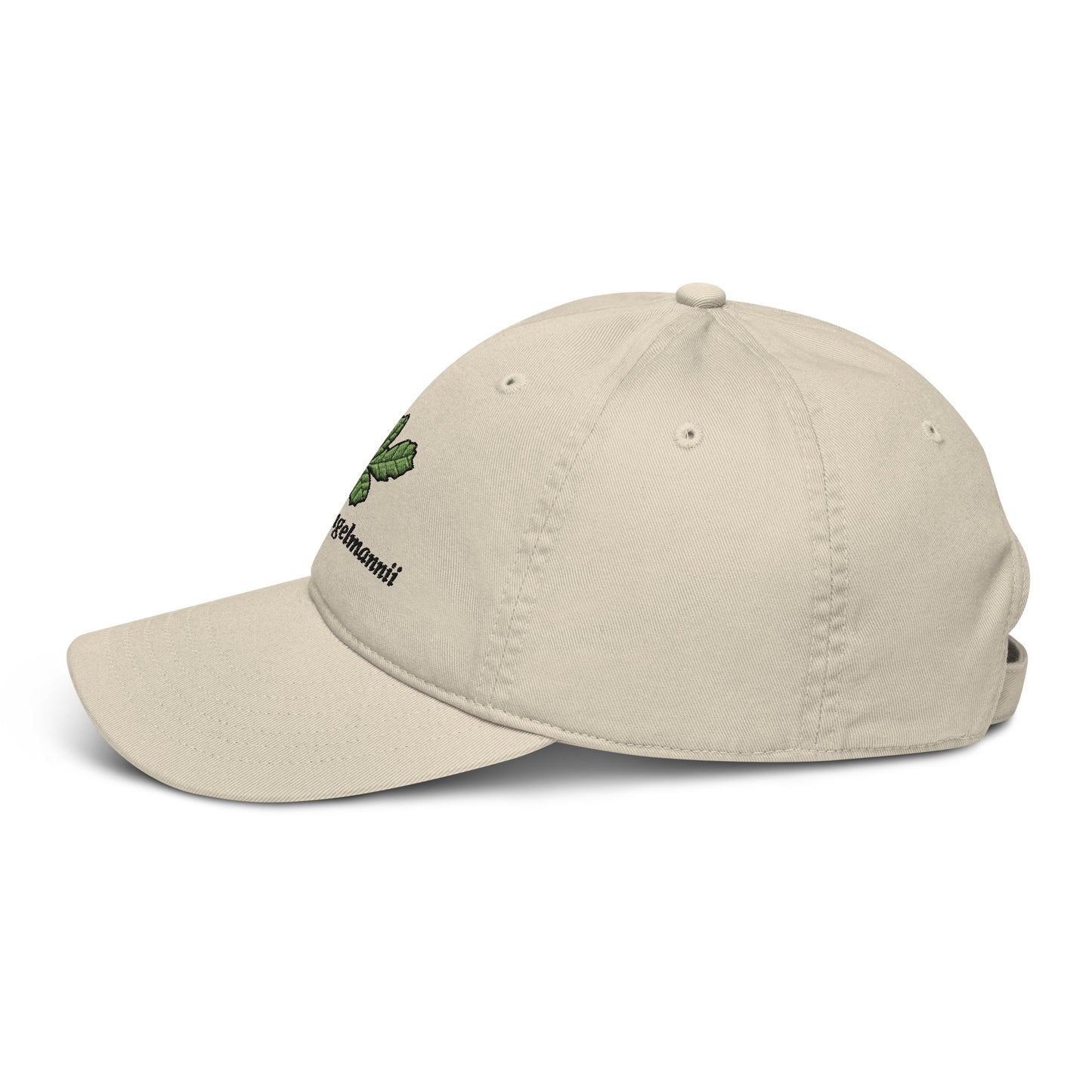 Quercus engelmannii hat (100% organic cotton)