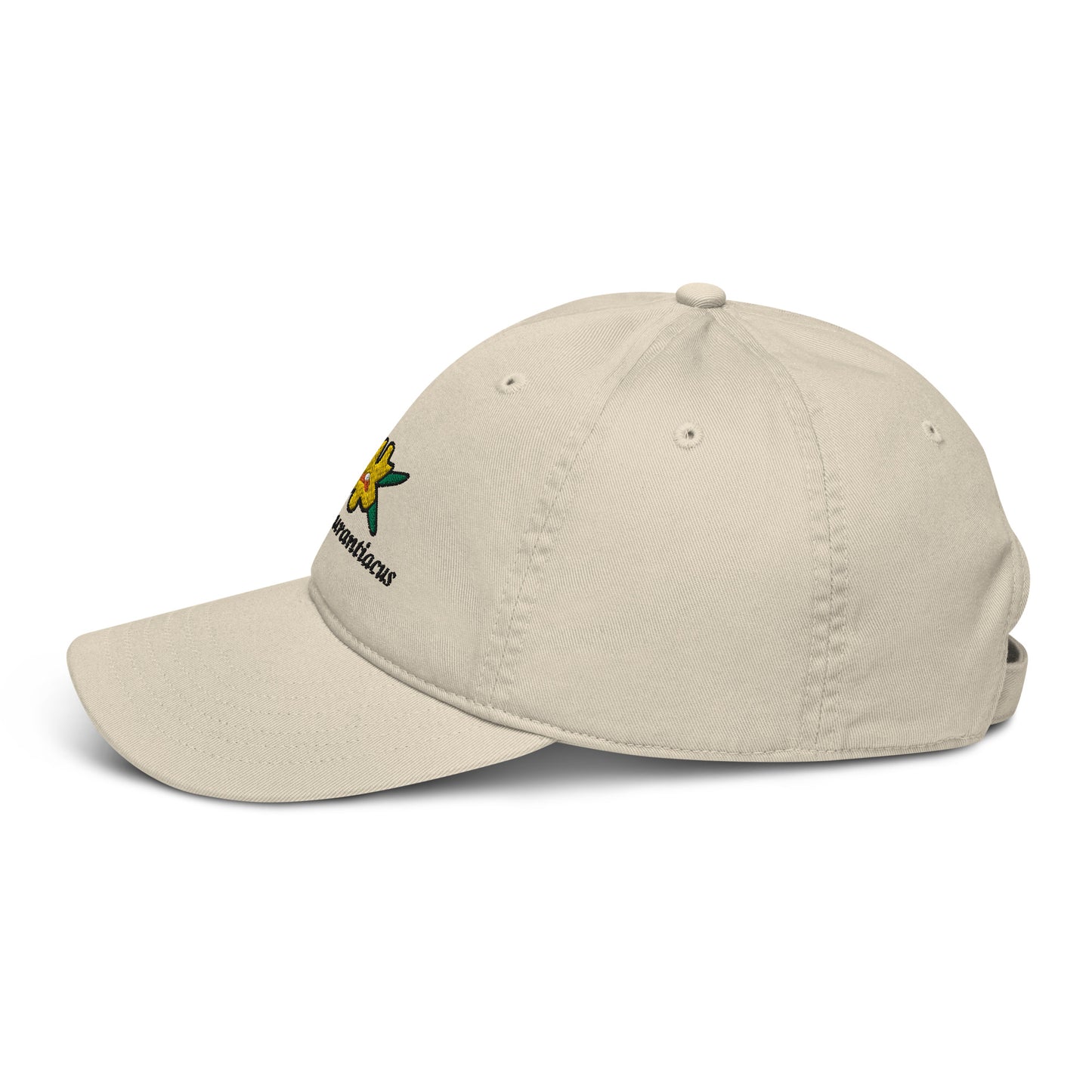Diplacus aurantiacus hat (100% organic cotton)