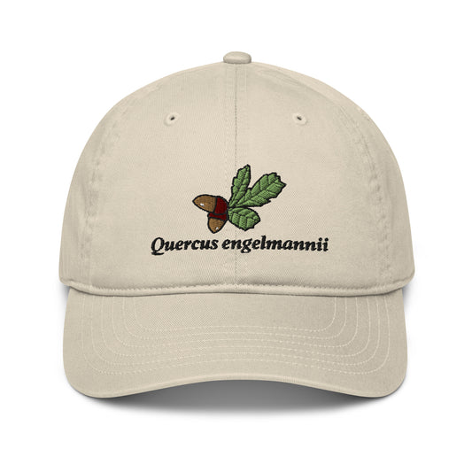 Quercus engelmannii hat (100% organic cotton)